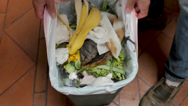 Best Basement Cleanout  in Indianola, WA